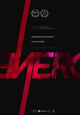 Enero - лучший фильм в фильмографии Рауль Эбнер Самра